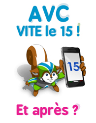 Campagne avc 2013