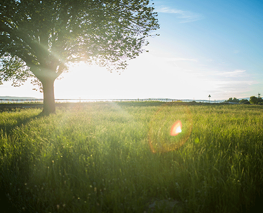 cONSEILS ASTUCES ENJEUX CANICULE