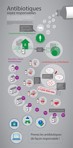 infographie antibiotiques