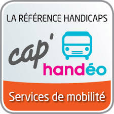 Trois services de transport adaptés labélisés Handeo