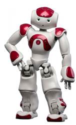 Robot NAO