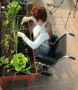 Table potager vivrebio